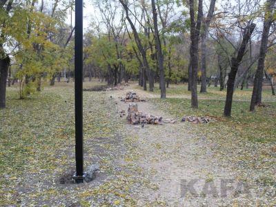 � �������� ����������� ������ ������� ����� ������������� �������������� �����