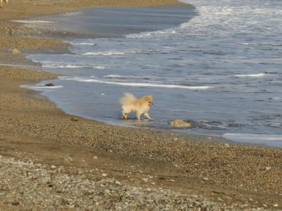 � �� ������ ���� �������� 17 ����... (�����)