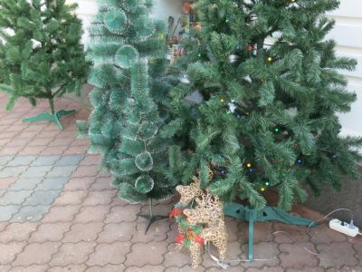 � �� ������ ���� �������� 17 ����... (�����)