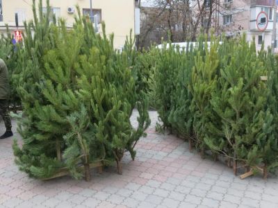 � �������� ��������� ������� ������
