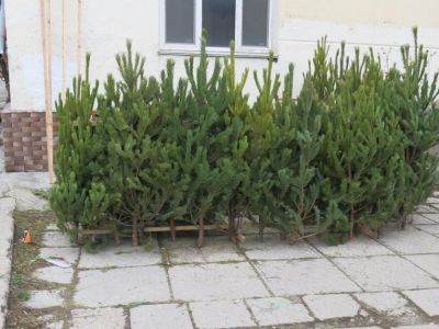 � �������� ��������� ������� ������
