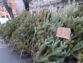 � ����������� ����������� 14 ������� �� ����������� ������� ����