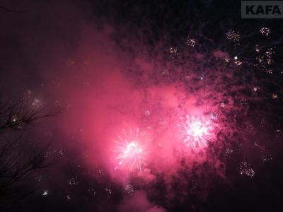 ������������ ���������� �����-2021 (�����)