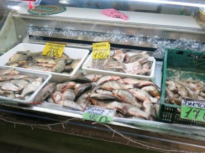 ���� �� ����� ��������: ������� ��������