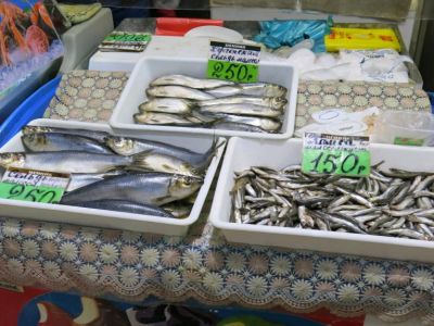 ���� �� ����� ��������: ������� ��������