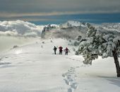 В Крыму на выходные закрыли дорогу на Ай-Петри