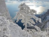 Крымские заповедники закрыли из-за аномальных холодов