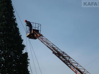 � �������� ����������� ���������� ���� 