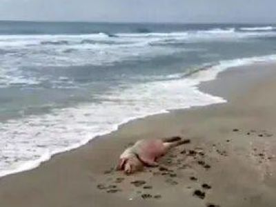 �� ������ ����� ����� �������� ������� ������