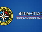 В Крыму в гараже женщина упала в смотровую яму, ее спасли