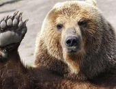 �� ������ �������-����� ������ ������� � �������