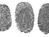 ��� ���������� ������� ��������� ������� ������� �� 100-������� ��������