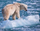 ������ ����� ��������� ����� �������� ������ �����