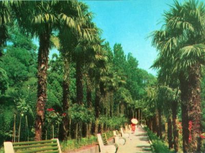 � ������ ������ ��������������� ���������� ��������� �����