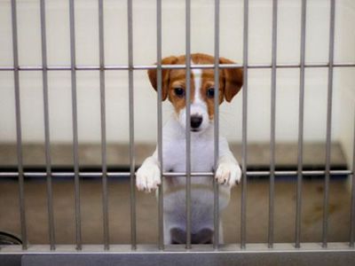 ���� � ������ ��������: � �������� ������ ��� ��������� ��������