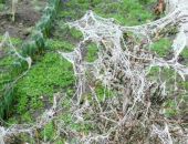 ������ ����� ���������� ��������� ������ (�����)