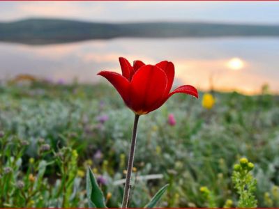 �������� �������: �������� ������� � �������� ���