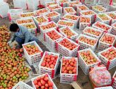 ������ � 2020 ���� �������� ������ �� ��������� �������������� �� �����