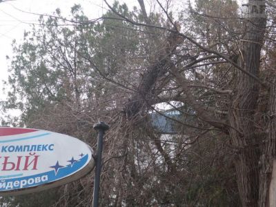 ����� ���������: �������� ������ �� ������ ������
