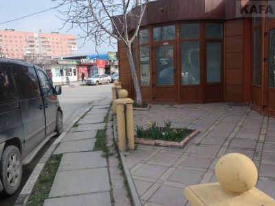 ����� ��������: ����� ������ �������