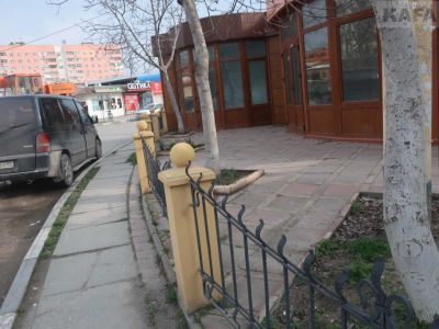 ����� ��������: ����� ������ �������