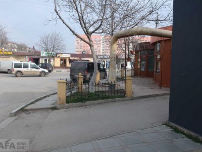 ����� ��������: ����� ������ �������