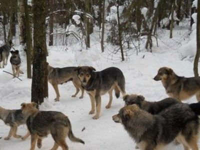 � ����� ����� �������� ����� ��������� ������