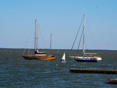 � �������� ���� ���������� ������ ������� ���� ��� �����