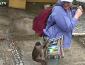 ������� ��������� ����������, ���������� ������� � ��������� 