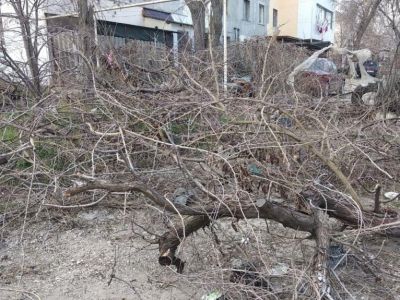 � �������� �� ���� �������� �� ������������� ���������� ���������� �������� ����������