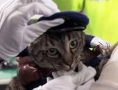 � ������  ������ ������������ ���������� ��������� �����