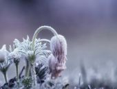 � ���� �� ���� ���� ������ ������ ���������