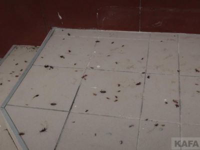 � ������ ���������� � ���� �� �����