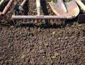 � ������ ���������� ������ � ������