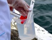 В Крыму начали проверять морскую воду на коронавирус