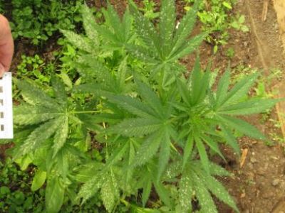 � ����� ������� ������ �������� ������� � ��������� � ��� �������