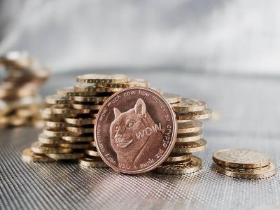 SpaceX � 2022 ���� �������� � ���� �������, ���������� ������������� Dogecoin