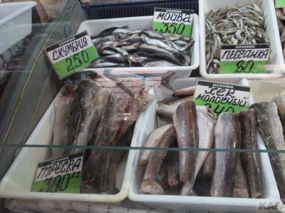 ���� �� ����� ��������: ����� ��� �������