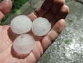 ��� ������������ ����� ������� ������ ����� ������� ���� (�����)