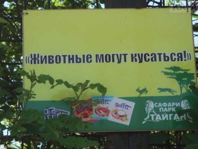 ������-���� ��������: ����� �� ������ (�����)