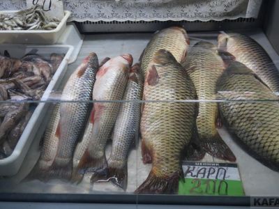 ���� �� ����� ��������: �������� ����� � ������