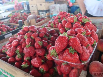 ���� �� ����� ��������: �������� ����� � ������