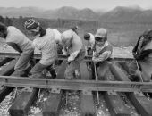 � ������ ���������� ����������� ����������� ���������� � ������������ �������