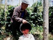 ���� �� ���� ��������