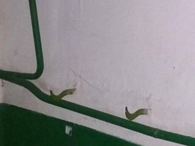 ��������� ���������: ������� ��� �� �������?