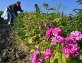 � ����� ������ ������ �������������� ����