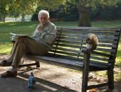  ������ ��-�� ������������ ����� ������ ��������� ����������� �������