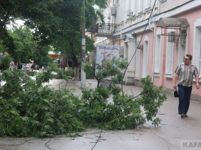 ��������: ����� �������� � �������