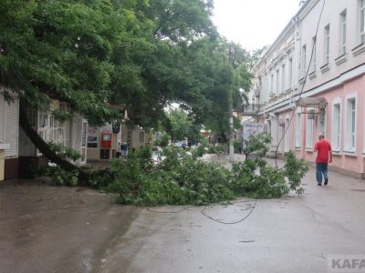 ��������: ����� �������� � �������