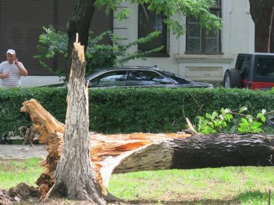 ��������: ����� �������� � �������